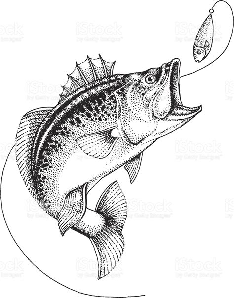 Fish Black And White .